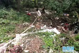 网络问政 | 太煞风景！贵阳这片“三不管”林地成了垃圾填埋场图片