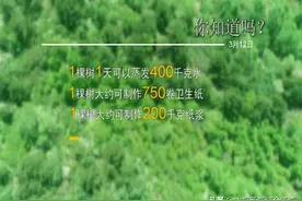 太原：你知道一棵树的价值吗？图片