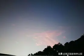 黑河记事——黑河伐木（上）图片