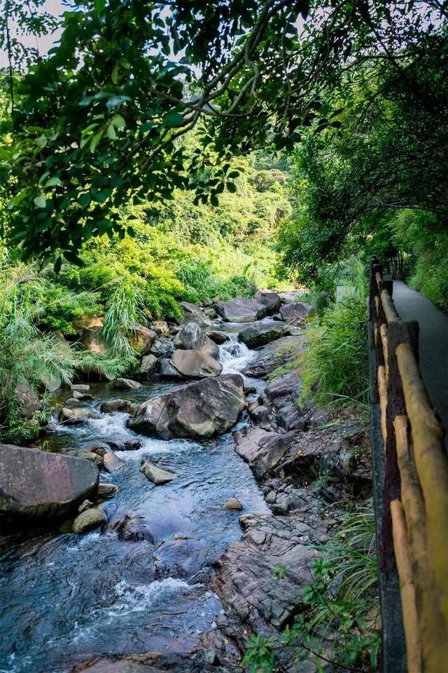 深圳值得征服的10座山，你去过几座？