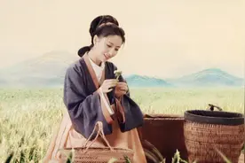 《陌上桑》背后的秦罗敷丈夫逆袭之路：普通人怎么逆袭成郎官？图片