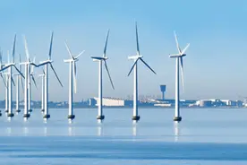 盘点2020，给实体经济绘制太平“保护色”图片