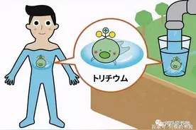 警惕日本人把核废水话题娱乐化，用哥斯拉奥特曼来错误引导图片