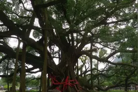 人生第一天上学，奶奶特意为我做了三件事，希望我成为学霸图片