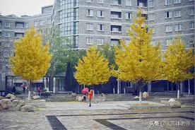 张雪峰老师：盯上这22所院校的22考研党，复试压力瞬间减小图片