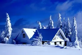 散文：素雪温情，拾一片雪花，给我温暖图片