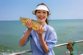 运气太好了！花3300元出海捕鱼，竟然捕上来一条罕见的野生大黄鱼图片