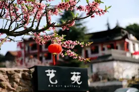 聚焦 | 从“林缘情”到“艺苑”，看龙泉驿农家乐的华丽转身！图片