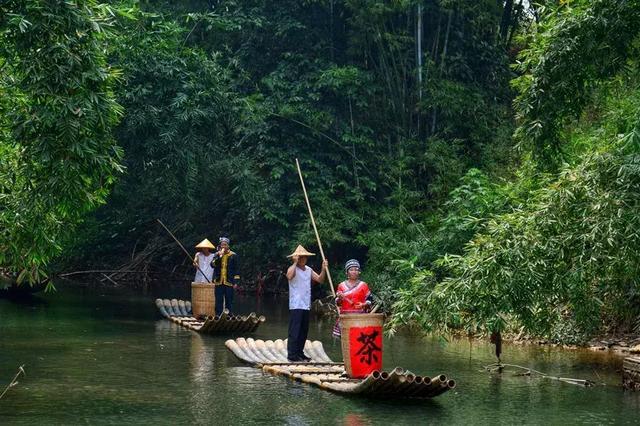 六堡茶丨可以喝的古董：一半是茶，一半是药