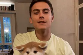 迪巴拉结束隔离，领养秋田犬，看上去十分憨态可掬图片