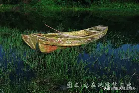 重庆这个“神秘”“荒凉”的轻轨站，现在喧嚣了，但仍怀念当年图片
