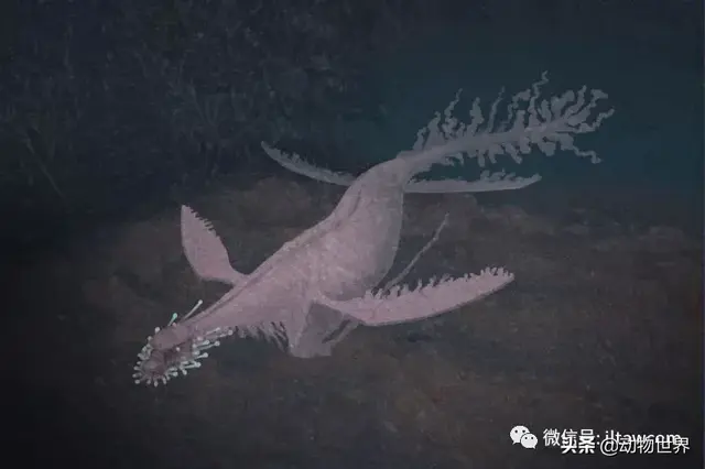 不可思议的神秘动物（四）