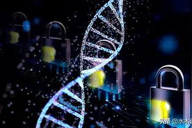 生命研究者：人类染色体被修改过，否则生命延长千倍以上图片