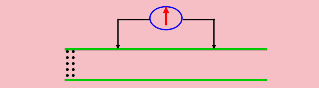 中学生物精美GIF动图来啦
