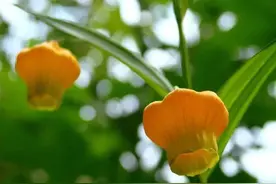 55岁阿姨：搭伙过得好好的，突然要AA，我没有退休金拿什么A图片