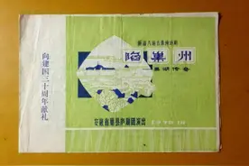 小白龙陷巢州图片