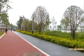 美如画！昆明新晋“打卡”地，就在草海隧道公园图片