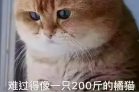 为什么我会说你需要一个电钻？方便好用的威克士WE212测评图片