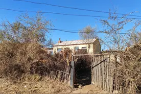 人生不易，好好珍惜图片