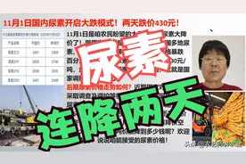 两天跌价430元！11月1日国内尿素开启大跌模式！尿素价格尿素行情图片