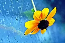 再喜欢，也不要撩那个朋友圈仅三天可见的人图片