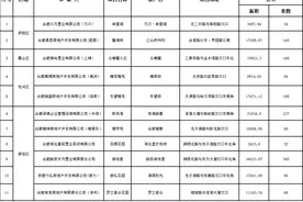 正在登记！合肥首批或将摇号楼盘名单公布！需首付最低21万起图片