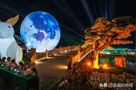 夜景比白天更美，浙江龙游红木小镇，彩灯全开像广寒宫的琼楼玉宇图片