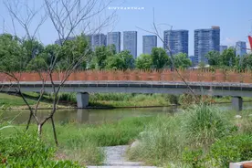 成都中和有个这么美的湿地公园，居然现在才发现！图片