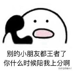 王者荣耀一键禁玩表情包搞笑版_王者荣耀禁玩表情图片