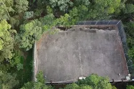 水池有人溺亡，业主喝了里面的水，关键是碧桂园还隐瞒了真相图片