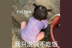 表情包：我很好，我只洗碗不吃饭图片