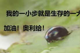 “屎”里逃生第一虫——被吃不怕，给它几小时，从肛门爬出再相见图片