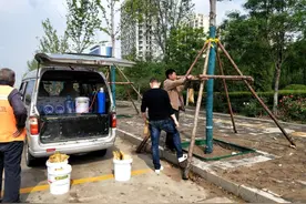 无棣为移植绿化树木“打吊针”提高林木成活率图片
