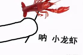 一只湖南小龙虾的自我修养图片