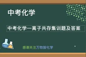 初三中考化学—离子共存集训题及答案图片