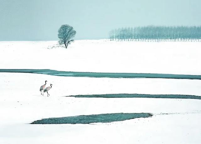ĵͼ | ﱼ ˮɽ