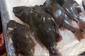 最受欢迎的8种海鱼，好吃不贵，懂吃的天天买，网友：我看看就好图片