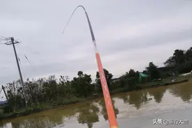 3款性价比超群的大物竿，第一名当之无愧，第二名让人头疼图片