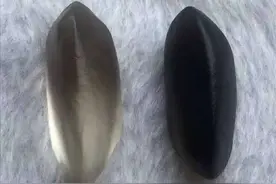 宝石光中的能量石—黑宝石光图片