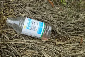 湖北宜昌：农药瓶躺在草坪上，除草剂致野草一片枯黄图片
