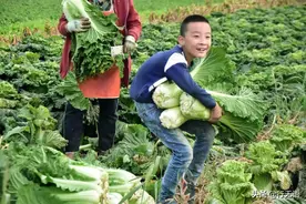 老公在外有钱小三小四不断，老婆在家照顾四个儿子却不管图片