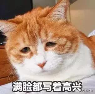 最后一名初代侠盗勇士被迫营业，满脸都写着“高兴”！