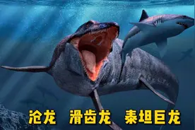史前十大巨兽排名，超越人类想象，体型有多巨大？图片