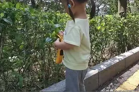 好物分享：牛听听超记牛，测评早教与学习功能，孩子爱上回家复习图片