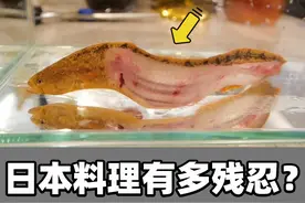 日本独创“骨泳”料理，在吃这件事上，日本人有多“变态”？图片