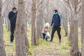 不挖野菜，是对公园最起码的热爱图片