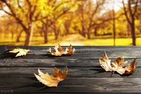 温良恭俭让，不求而自得——孔子盛德的光辉图片