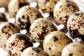 鹌鹑蛋和鸡蛋哪个营养价值更高呢？图片