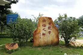 小村巨变 | 广州从化这个“杨梅之乡”，你去过吗？图片