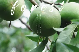 夏日限定物语：沁凉解暑，日子像青梅一样酸甜图片